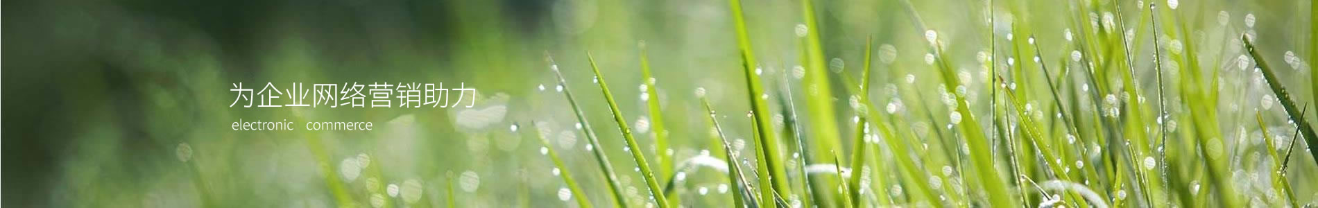 İں޹˾
